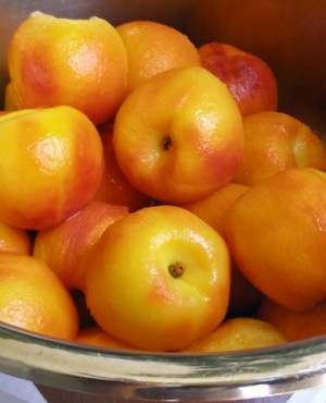 317a-nectarine_confiture3