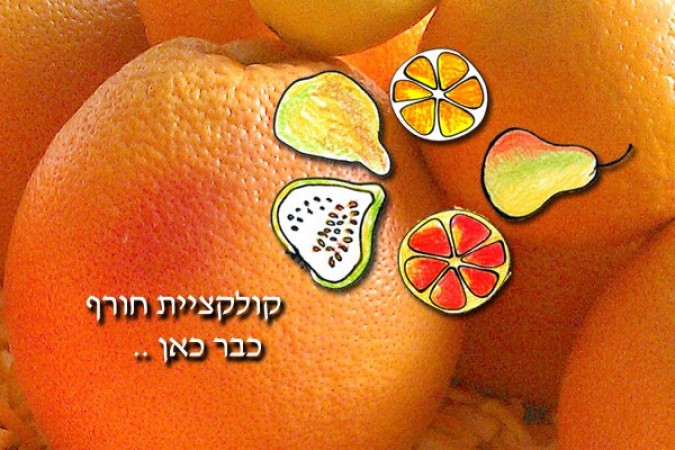 ריבות חדשות וטעימות לחורף חם